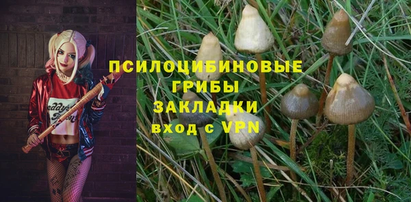 MDMA Premium VHQ Коряжма