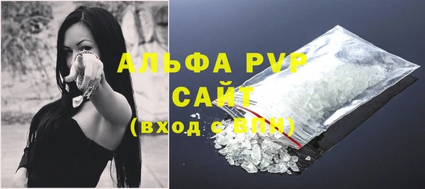 прущие грибы Тында
