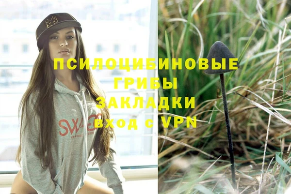 mdpv Корсаков