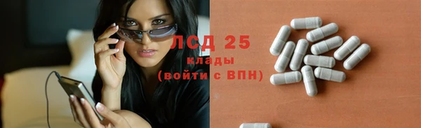 крисы Костерёво