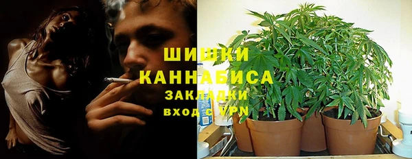 крисы Костерёво