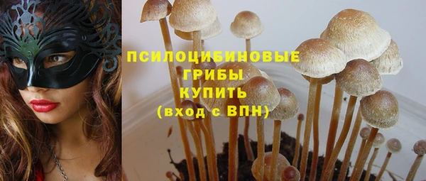 бошки Туринск