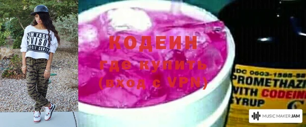 крисы Костерёво