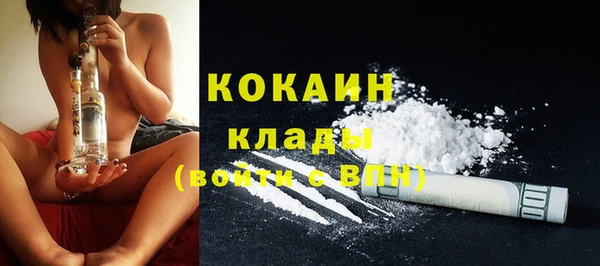 крисы Костерёво