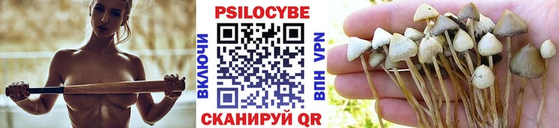 Купить  Ейск  Псилоцибиновые грибы прущие грибы 
